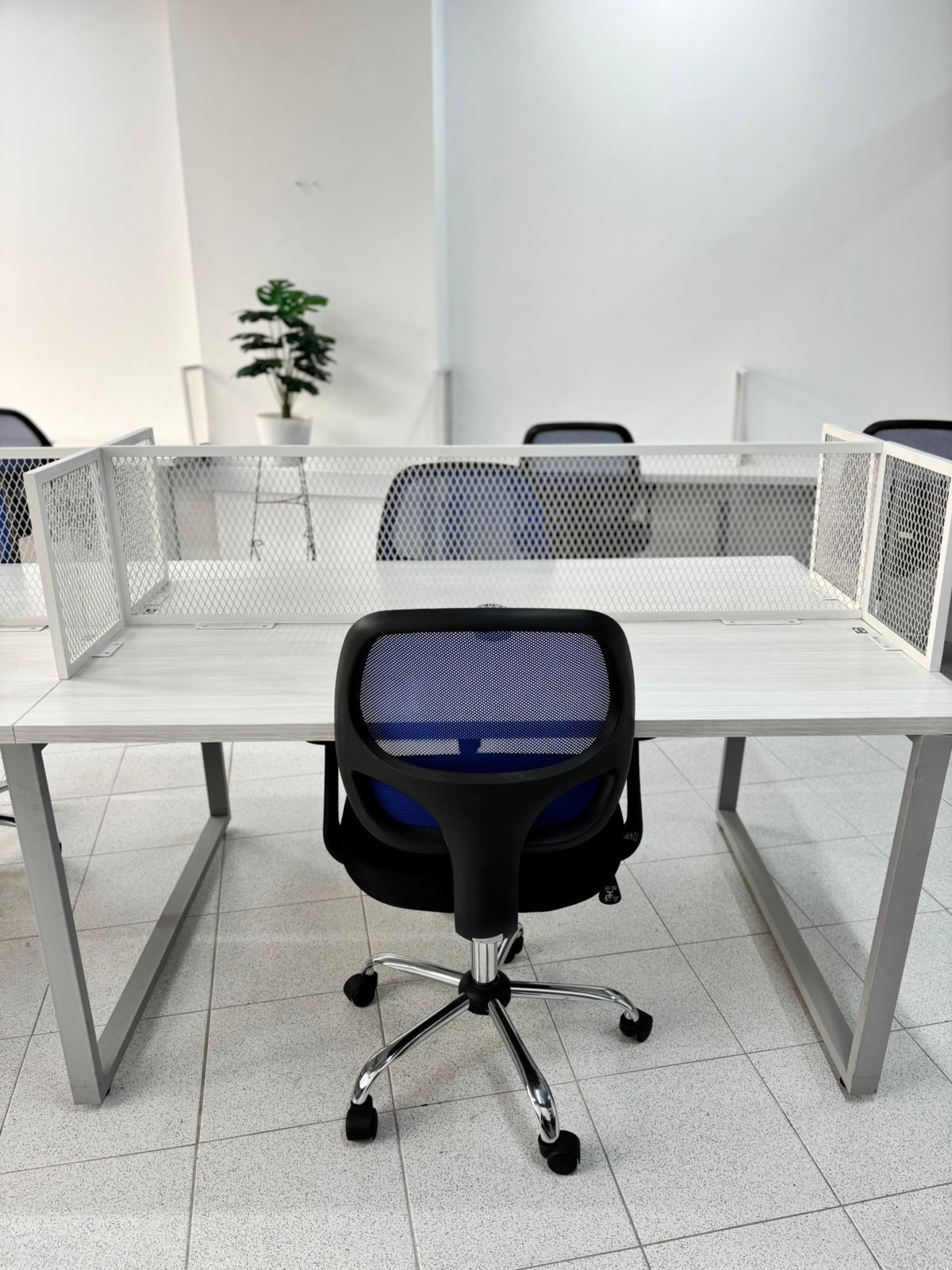 Puesto 6 - Coworking grupal
