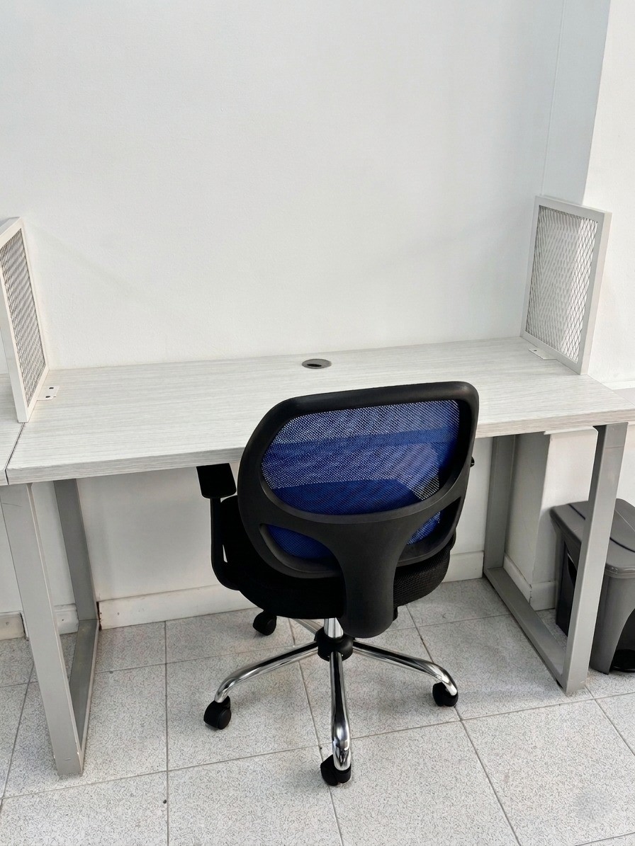 Puesto 2 - Coworking grupal
