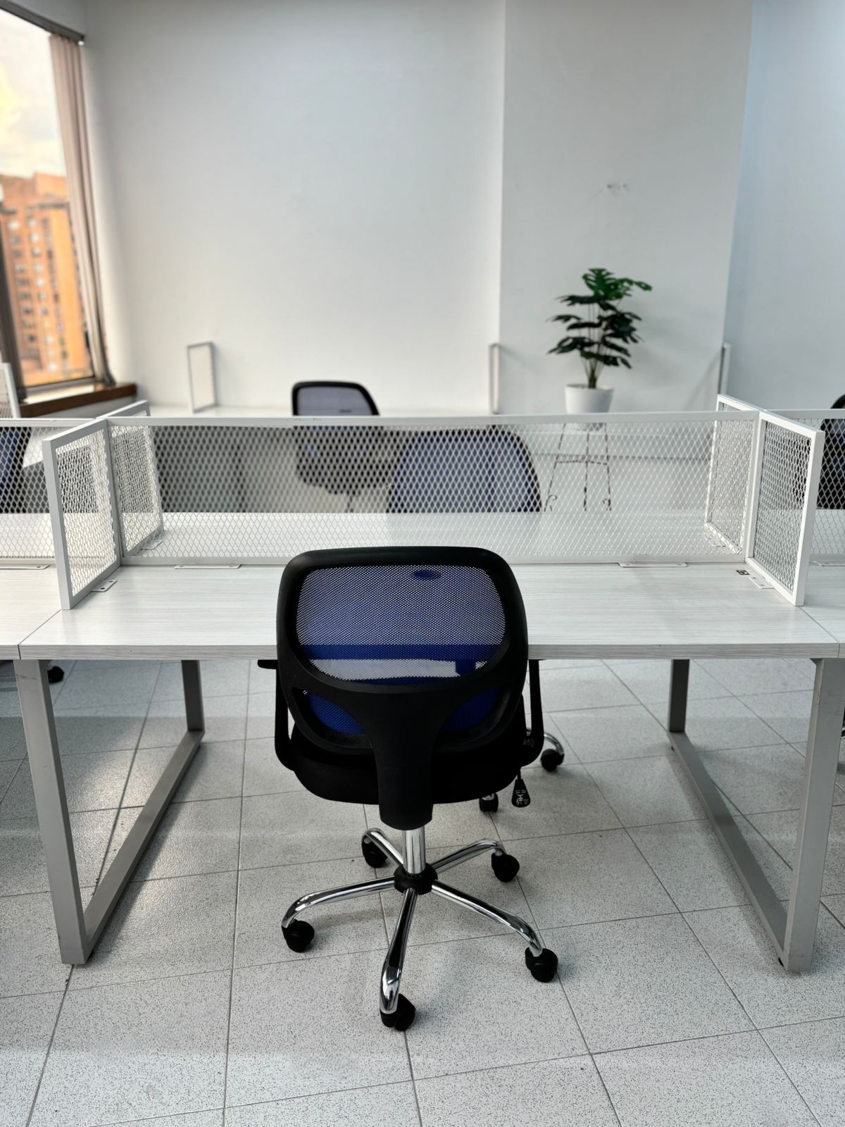 Puesto 5 - Coworking grupal