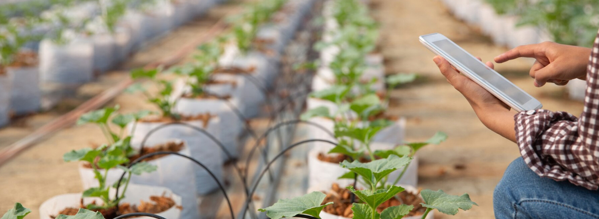 Banner Agroindustria y alimentos